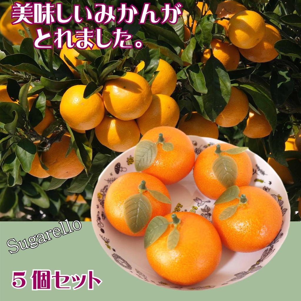 Sugarello Mandarin Fake Artificial Fruit Imitation Photo 5 Pieces Oranges, Mandarins, Models, Objects, Figurines, Ornaments, Props,