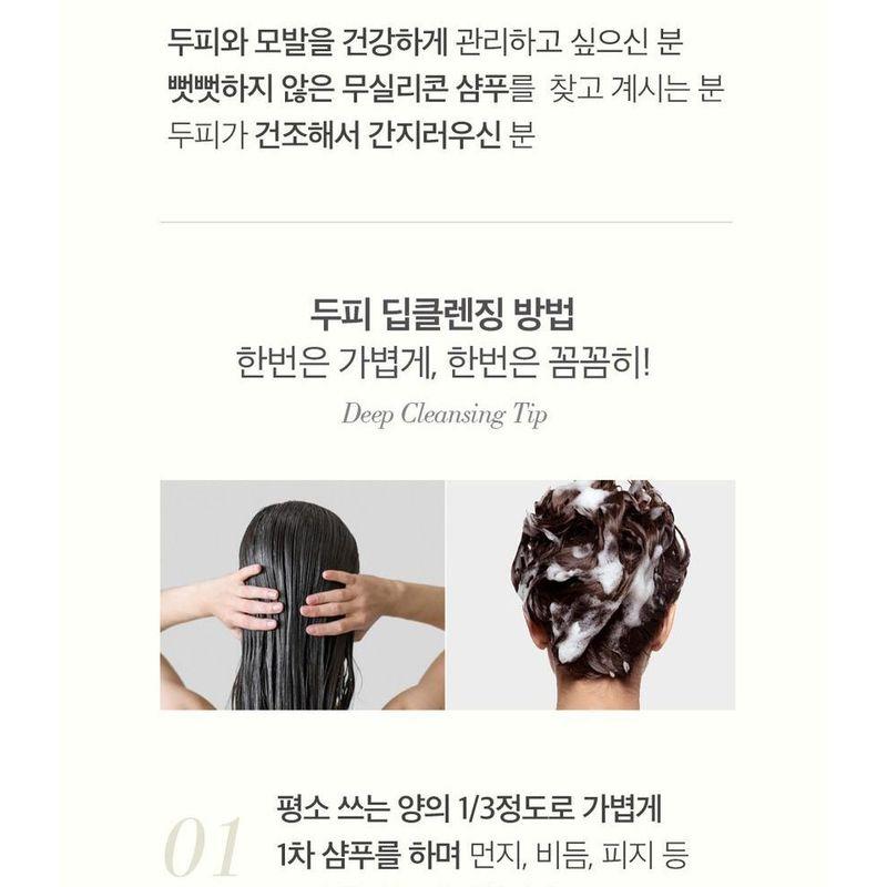 THE PURE LOTUS - Lotus Leaf Shampoo For Middle And Dry Scalp Jumbo