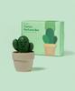 [Special Set] All-in-One Perfume Bar Canola + Cactus Bar Objet Gift Set