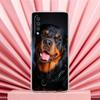 Phone Case For Samsung A56 A36 A26 A24 A16 A14 A12 A32 A50 A70 A20E A22 A40 A34 A54 A42 A52 5G A04s A06 Cover Rottweiler Dog