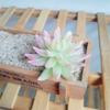 1 Pc Artificial Simulation Flower Head Mini Flocked Lotus Succulent Plant DIY Landscape Home Garden Decoration