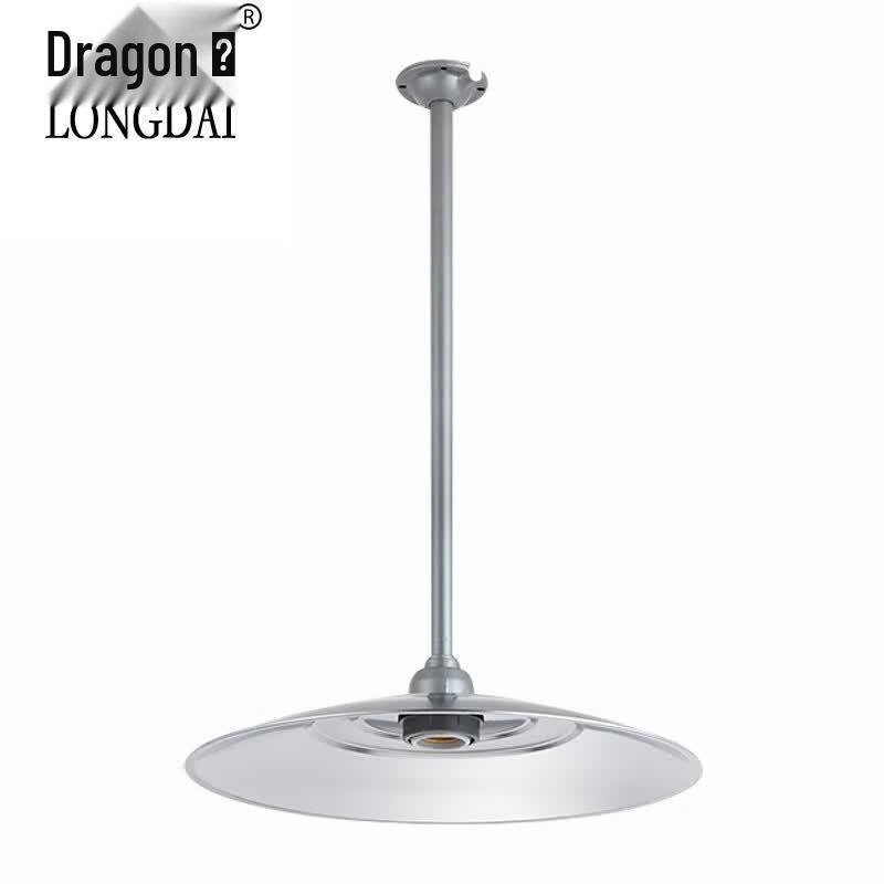 Longdai Outdoor Stainless Steel Waterproof Street Light