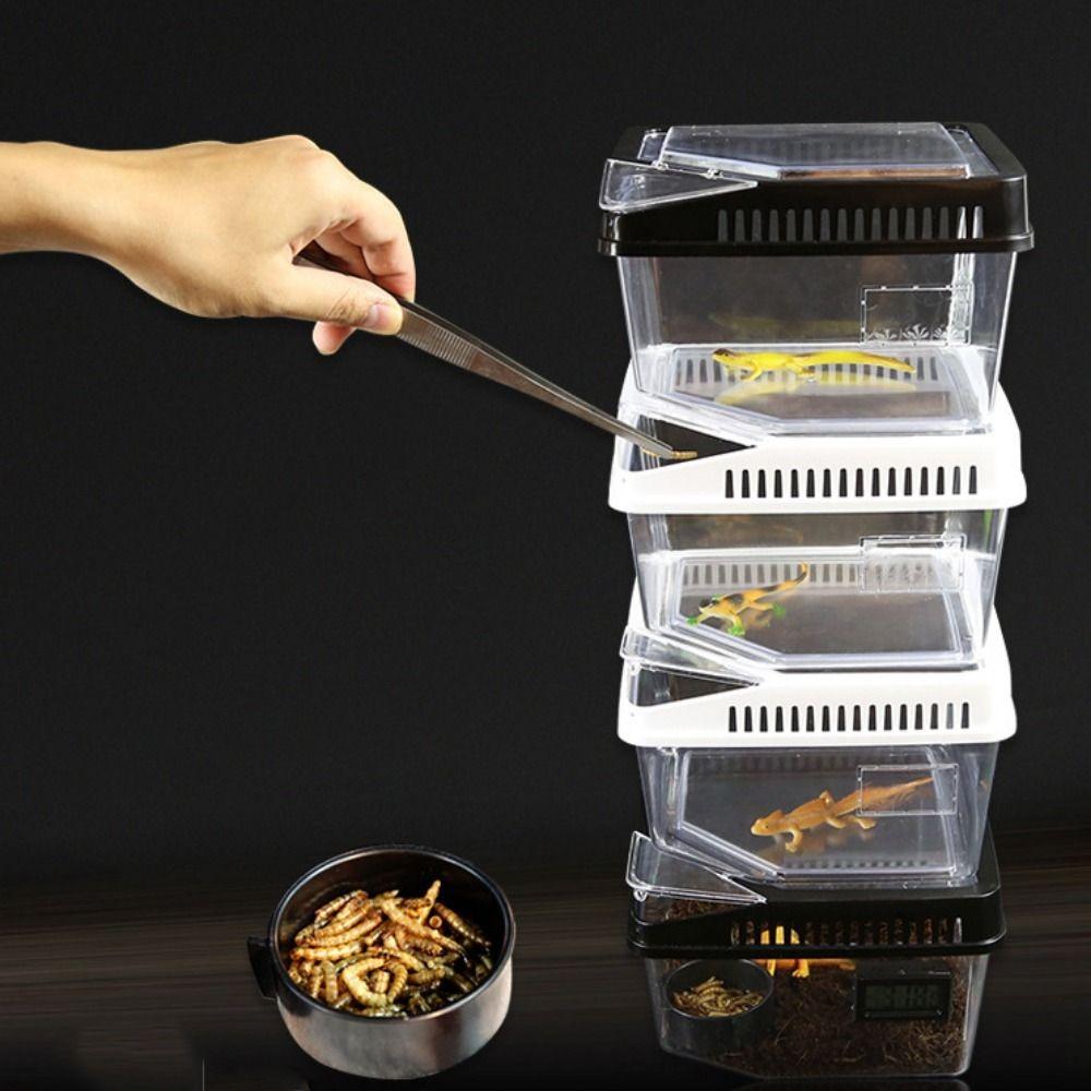 Fluchtsicheres Terrarium für Reptilien, Kunststoff-Terrarium für Reptilien, langlebiger Eidechsen-Wachstumsbehälter für Schnecken, Geckos, Vogelspinnen