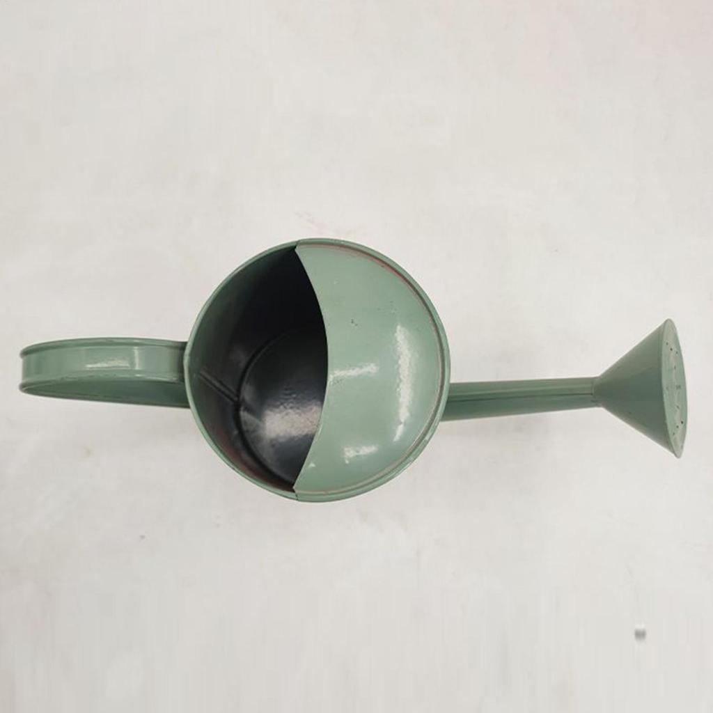 Annaffiatoio Piante Retro Beccuccio Lungo Vaso Spray 2L Annaffiatoio in Ferro per Piante da Interno Irrigazione Giardino Bottiglia per Annaffiare