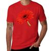 Red Gerbera Daisy T-Shirt Kawaii Clothes Heavyweights Cute Tops Mens Clothing