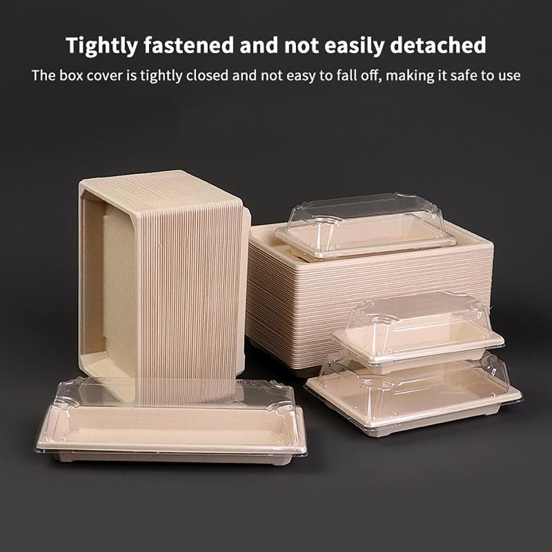Disposable Sushi Box Home Takeaway Packaging Box Environmentally Friendly And Biodegradable Rectangular Sushi Plate Meal Box