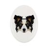 Border Collie -Płytka Ze Zdjęciem I Napisem Geometryczna Marki Art-Dog