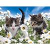 Flower DIY 5D Diamond Painting Full Round Drill Cat Diamond Embroidery Animal Cross Stitch Mosaic Rhinestones Art Handwork Gift