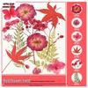 Handmade Pressed Flower Bookmark and Epoxy Sticker Pack with Real Leaf and Plant Specimens for DIY Face Makeup.