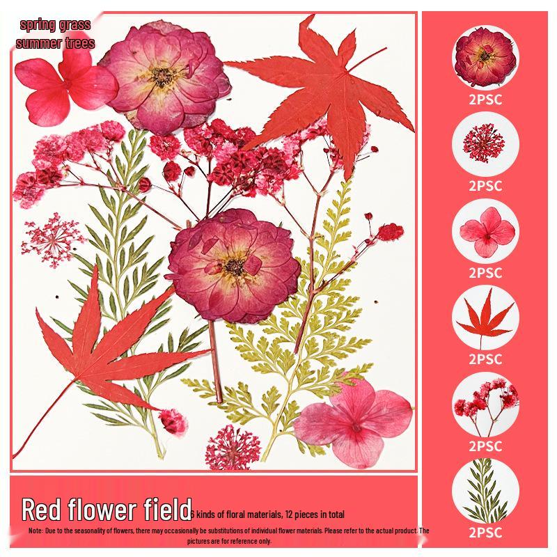 Handmade Pressed Flower Bookmark and Epoxy Sticker Pack with Real Leaf and Plant Specimens for DIY Face Makeup.