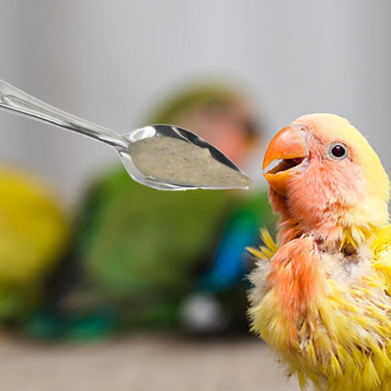 10pcs Portable baby bird feeding water spoon bird parrot feeding spoon stainless steel water milk powder feeder spoon bird food