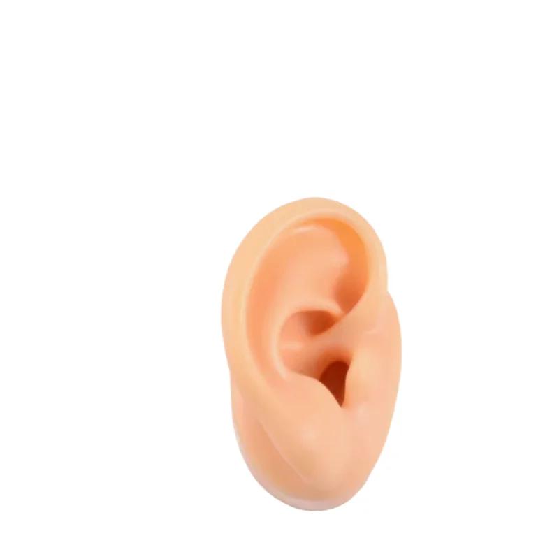 5D Silicone Simulated Artificial Ear Model Ear Stud Piercing Piercing Piercing Teaching Hearing Aid Acupuncture Practice Prop
