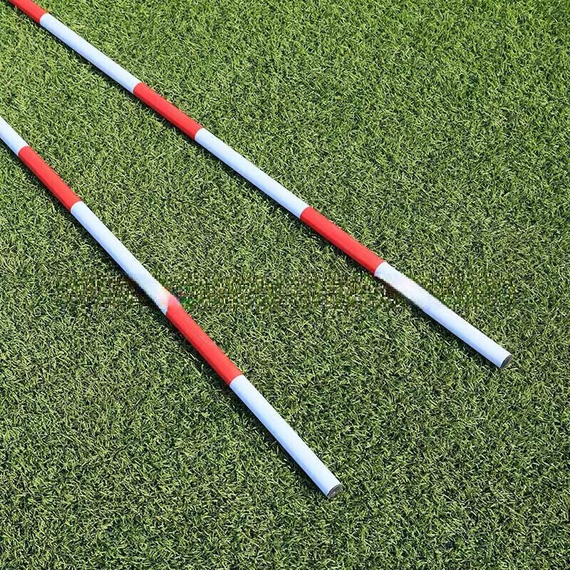 WEZHO Sports Agility Training Slalom Poles CN Plug (adapter Included)