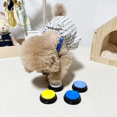 פטקה כלב פעמון הקלטה ציוד אימון צעצוע סט 4 חלקים