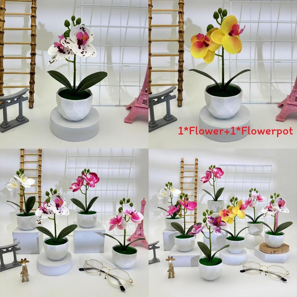 Butterfly Orchid Replica Potted Flower For Event Decor And Home Styling