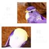 12pcs/Box Exquisite Color Simulation Feather Bird Garden Landscape Foam Bird Micro Landscape Simulat
