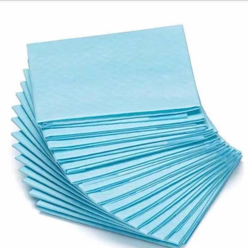 Disposable Training Pee Pads For Dog Super Absorbent Pet Puppy Throwaway Healthy Clean Nappy Mat OneTime Dairy Diaper Supplies