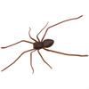 3D Design Spiders Decoration Magnet Spider Prank Toys Gag Present Simulation Spider Toy  Prank Gift