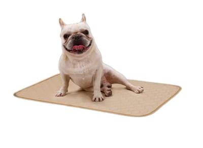 Pet Oxy Hotel Exclusive Pee Pet Toilet Quick Pet Pee Nursing Medium Dogs and Pee Pad for Set of 2 Mat, Mat, Sheet, Underlay, Mat, Washable, 4-Layered