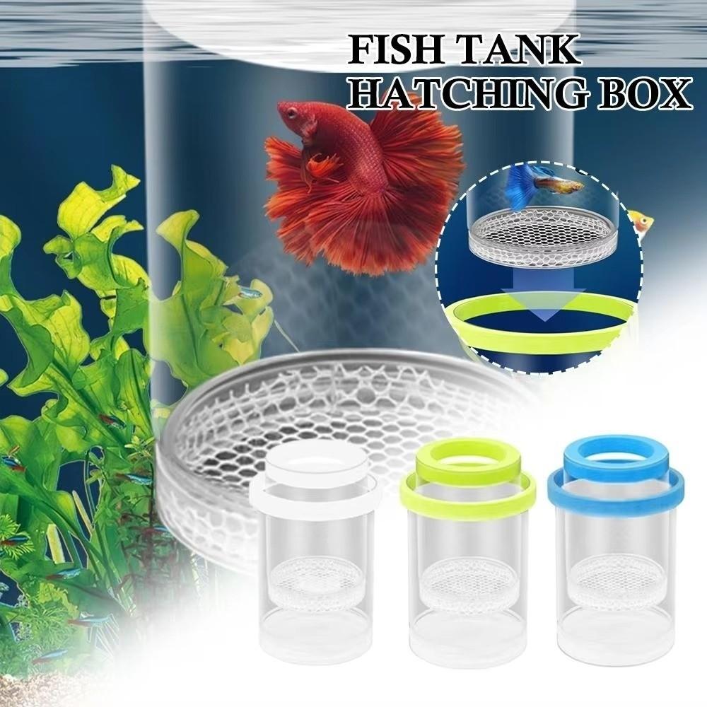 Transparente Aquarium Zuchtbox Garnelen Guppy Fischtank Inkubator für Aquarium Brutstätte Zubehör