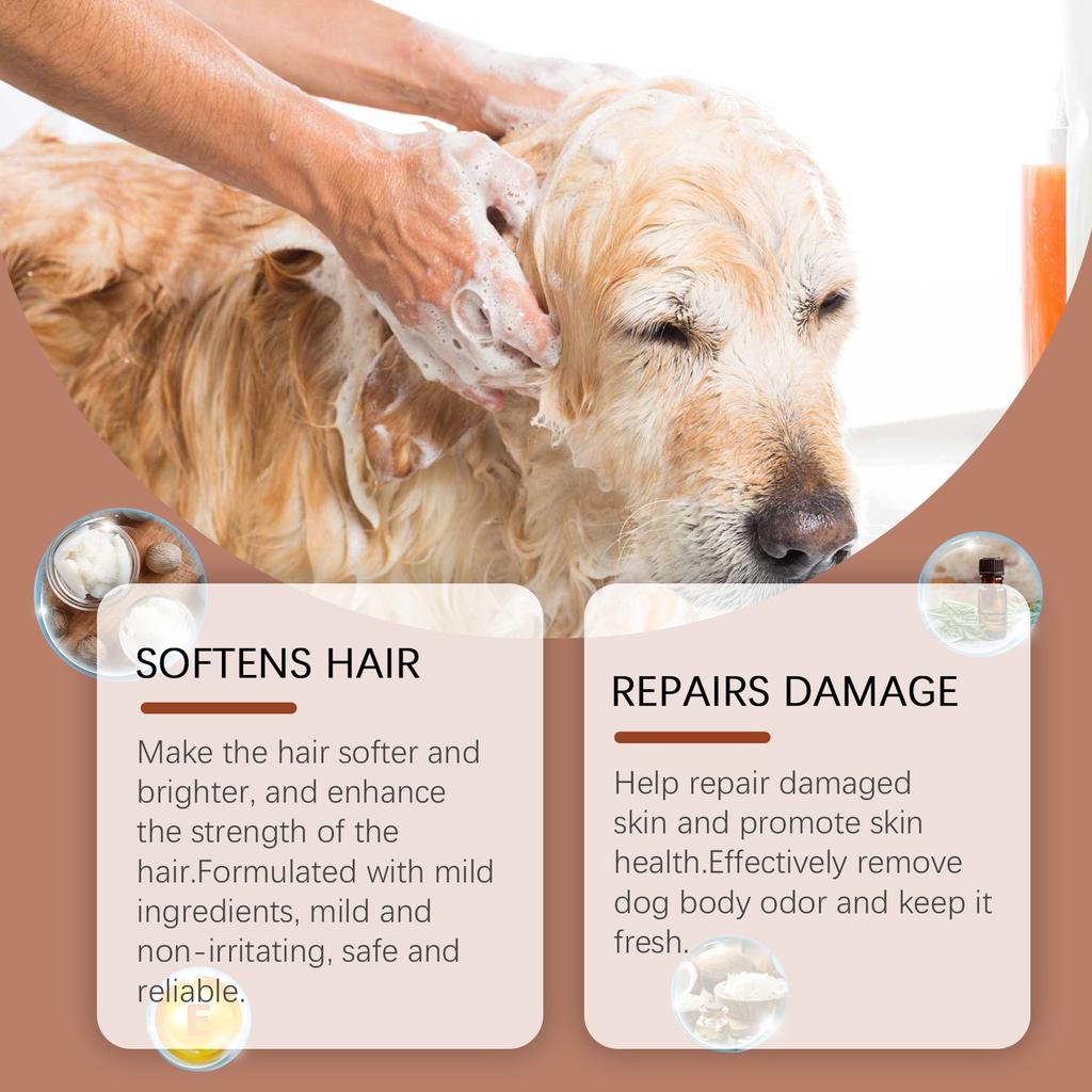 Deo-Shampoo für Hunde Geeignet für alle Hunde Reinigt das Fell und desodoriert Tränenfrei Haustierfreundliches Shampoo 100 ml