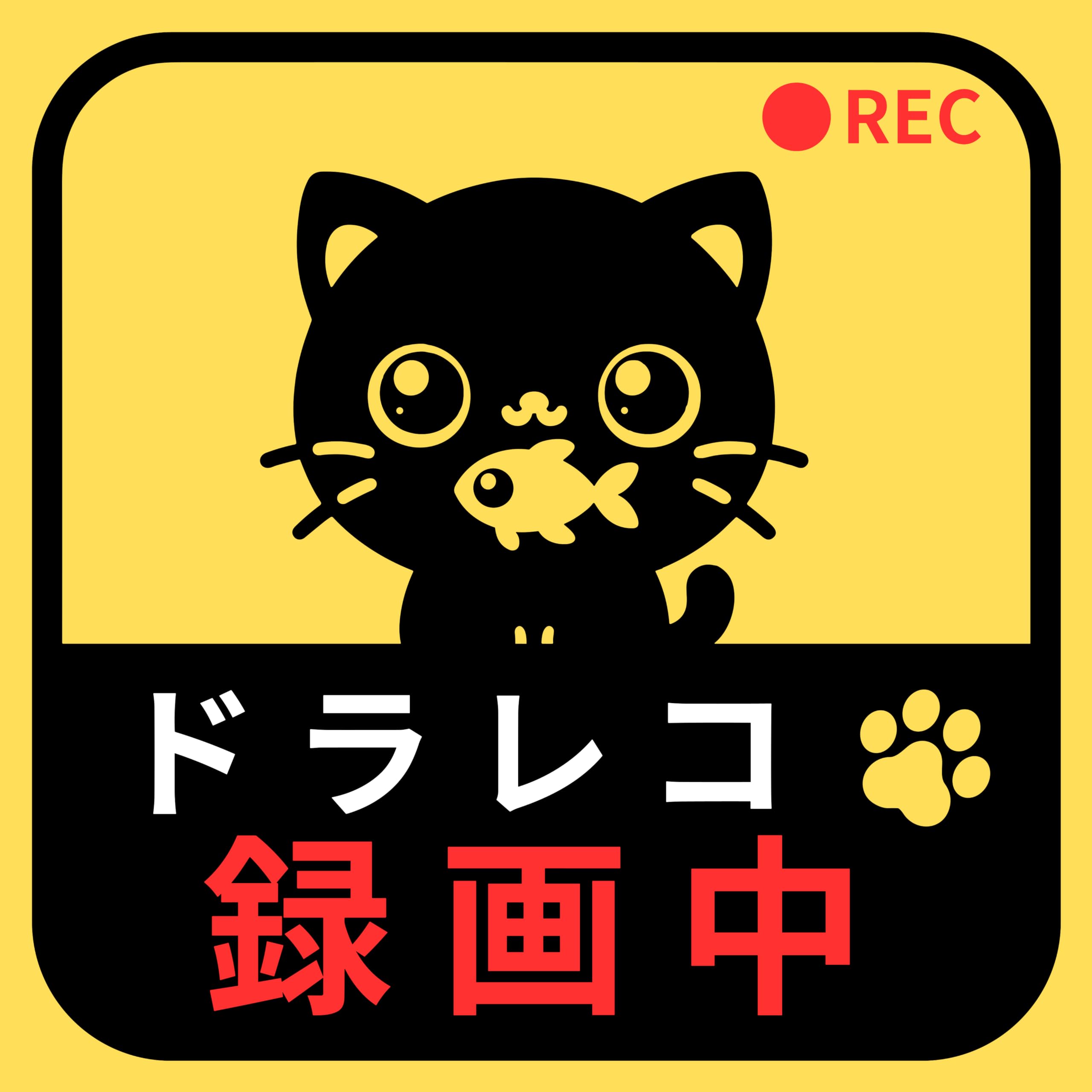 

Magnet Sticker for Cars, Flag, Driving, Dangerous Driving, Prevents Vandalism on Vehicles (Drareco, Cat