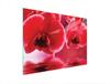TAGLIERE IN VETRO 40x30 ORCHIDEA