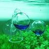 Glass Drop Checker CO2 Indicator for Planted Aquariums Easy to Use 4 Options