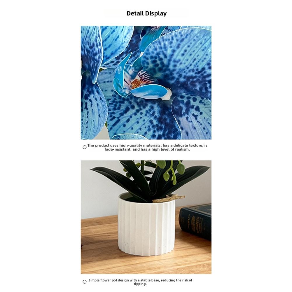 Artificial Orchid Potted Plant Realistic Design Soft Glue Flower for Home Office Event Decor White Pink Black Options