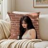 Idol Kpop LLEESEO Cushion Cover Pillowcase Antidustmite living Room Sofa Decor Cushion Room