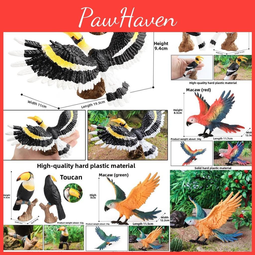 Animal Model Wildlife Solid Plastic Parrot And Hornbill Figures For Kids Gift