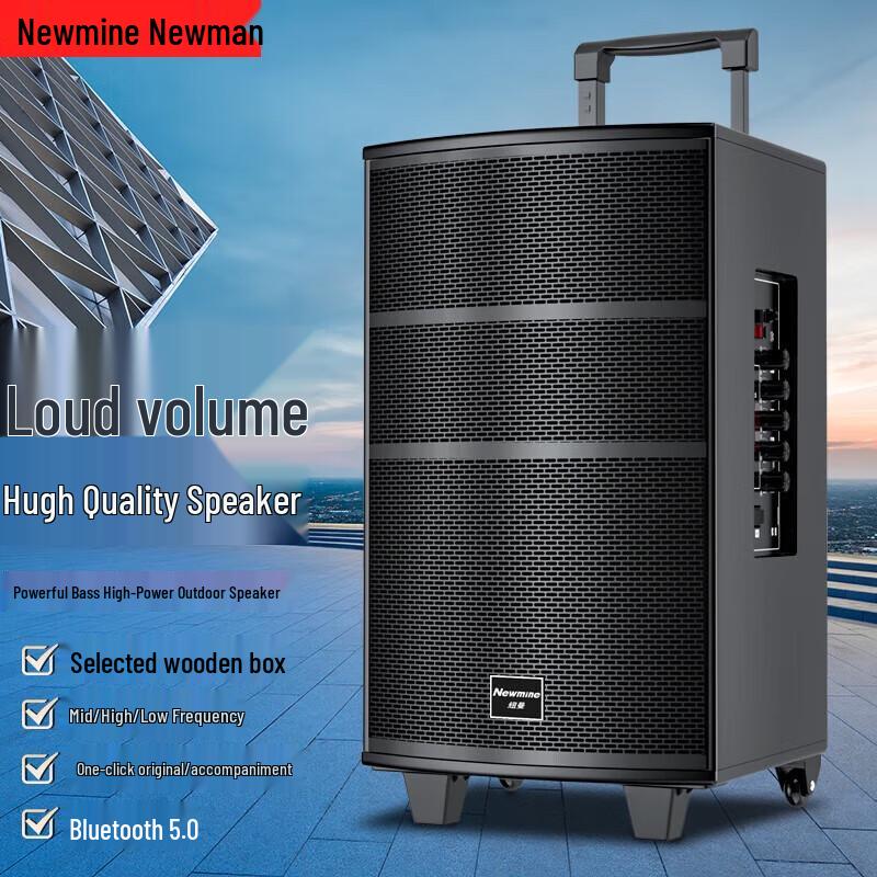 Newmine L23 Outdoor Bluetooth Karaoke Speaker