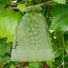 10-200 Pezzi Sacchetti Rete Protezione Frutta Sacchi Coltivazione Piante Rete Anti-Uccelli Giardino Sacchetto Copertura Verdura Fragola Uva Attrezzi da Giardino