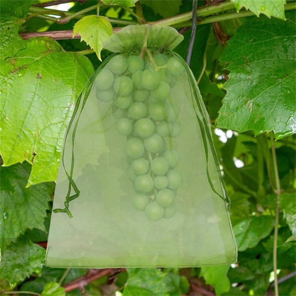 10-200 Pezzi Sacchetti Rete Protezione Frutta Sacchi Coltivazione Piante Rete Anti-Uccelli Giardino Sacchetto Copertura Verdura Fragola Uva Attrezzi da Giardino