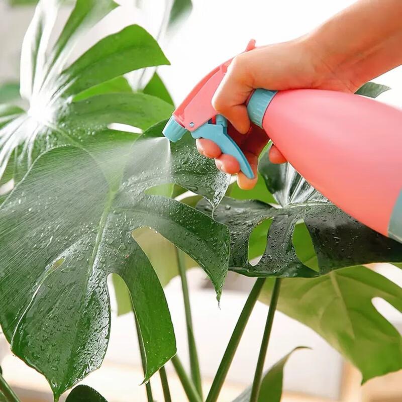 Handgepresste bonbonfarbene kleine Gießkanne, Gartenbewässerung kleiner Sprüher, Gartenbewässerungskessel, Gießkessel