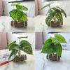 Creative Wooden Basin with Artificial Green Plant Bonsai Ornament for Display and Decoration.