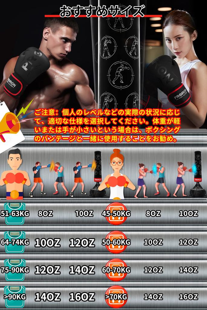 PROIRON Boxing Includes Maintenance Warranty Gloves, 12oz, Thick, Durable, Comfortable, Bag, 1-Year