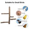 Bird Perch Set Natural Wood Stand Parakeet Toys Multi Branch Bird Cage Accessory