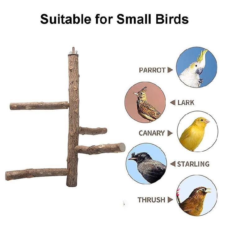 Bird Perch Set Natural Wood Stand Parakeet Toys Multi Branch Bird Cage Accessory