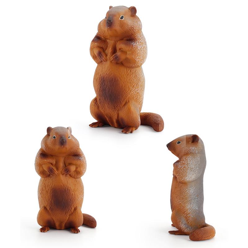 Children'S Science And Education Cognition Grassland Wild Squirrel Animal Model Simulation Solid Groundhog Collection Ornament Toy