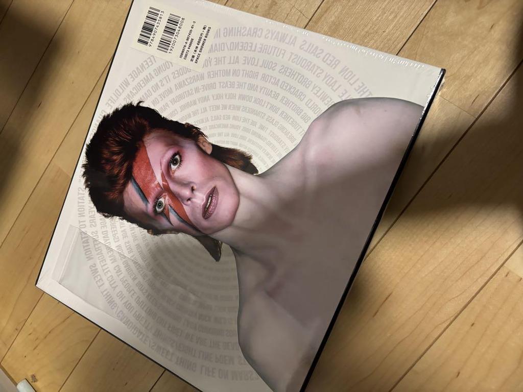 [USED] BOWIE TREASURES