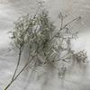 Artificial Starry Wedding Decor Flowers For Hotel And Event Backdrops