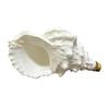 Rubinetto a Conchiglia Rubinetto da Parete Costiero, Forma di Conchiglia Lavandino da Bagno Oceano Beccuccio Flessibile a Flusso d'Acqua Rubinetto Decorativo a Tema per Casa al Mare, Bagno,