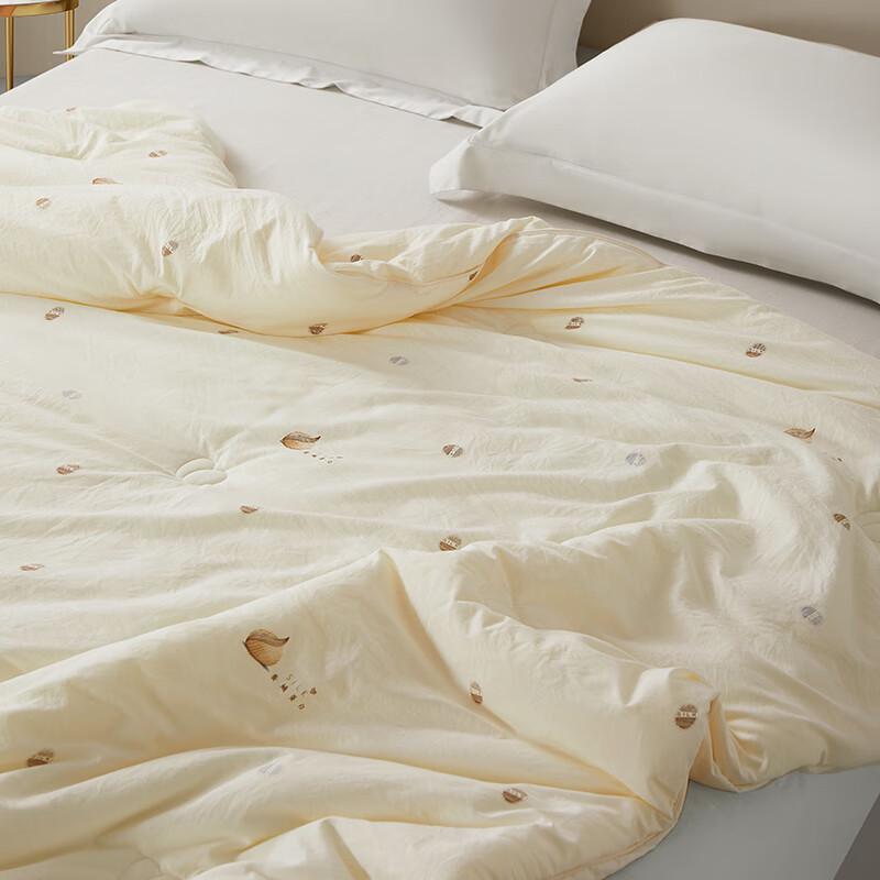 Tangna Home Textiles All-Season Soft Polyester Quilt