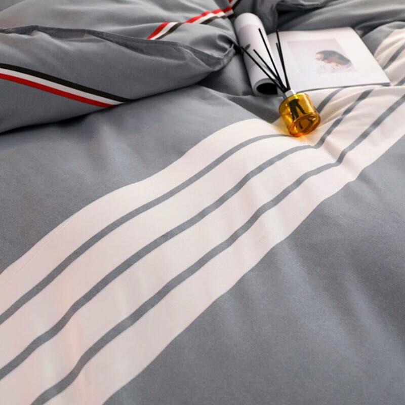 PLOVER All-Season 4-Piece Bedding Set