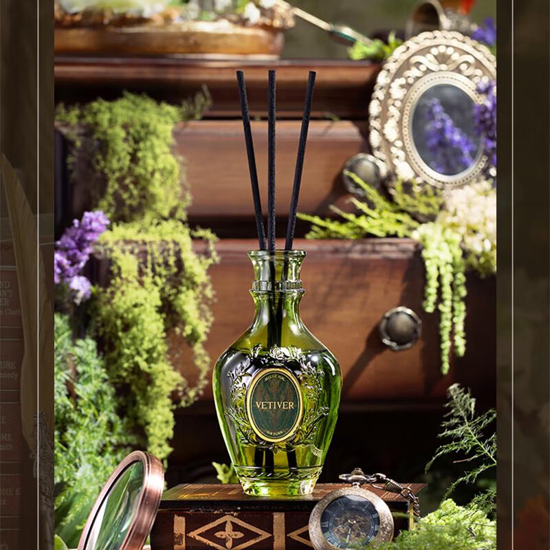 Air Funk Безпламенный диффузор с палочками Серия «Энергия»