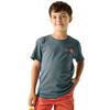 Regatta Childrens/Kids Bosley Mountain Scene Back Print T-Shirt