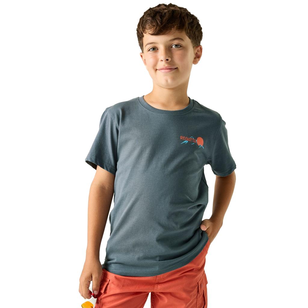 Regatta Childrens/Kids Bosley Mountain Scene Back Print T-Shirt
