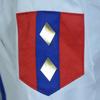 Cosplay Costumes for Anime Characters, Costumes for Anime Role-playing, JK Uniforms for Women's Campus Feng Shui Masters, Halloween Party Costumes