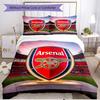 3pcs Duvet Cover Set (1*Duvet Cover + 2*Pillowcase, Without Core), football team.C Print Soft All‑Season Bedding Set, Home Bedroom Decor Gift
